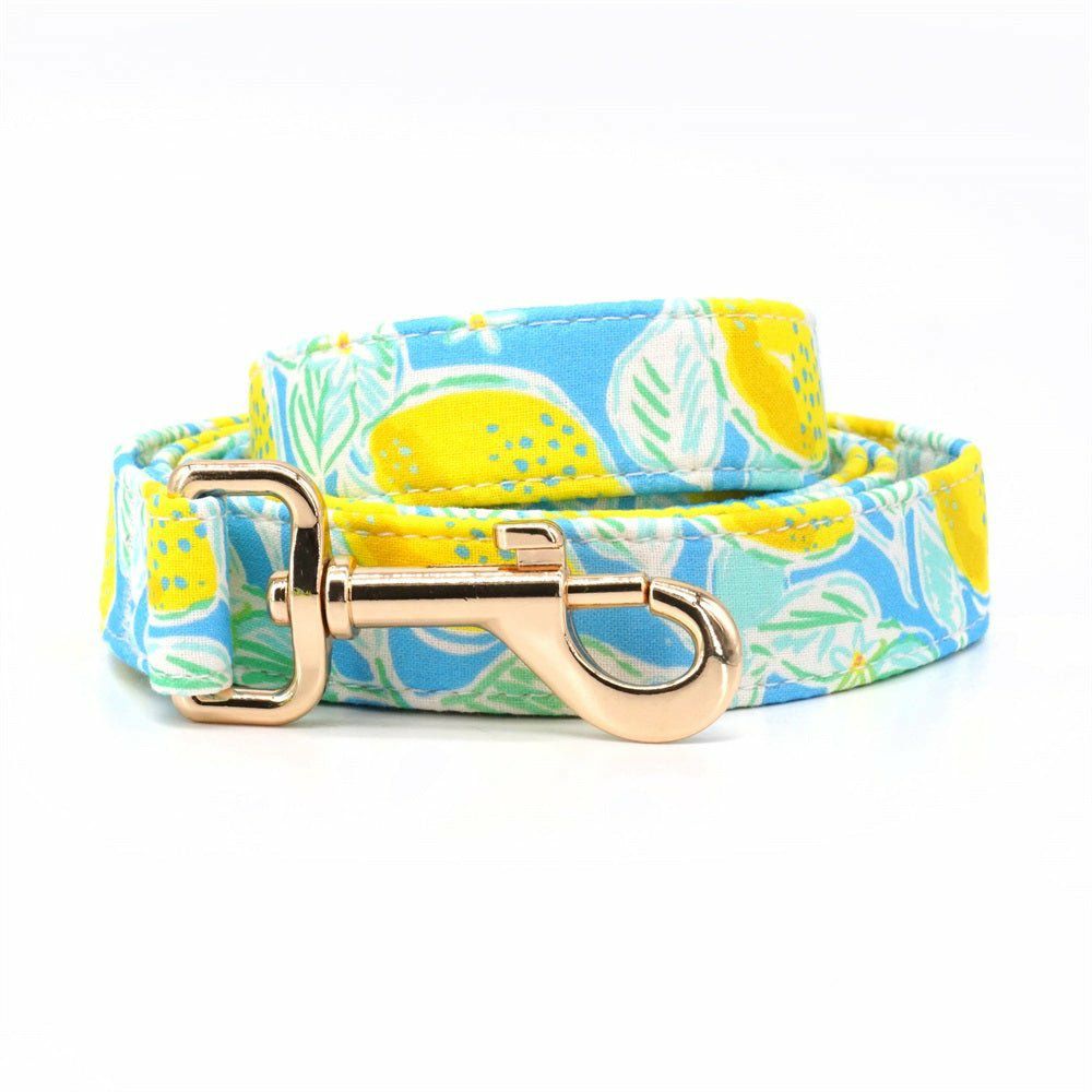 Leash | Dogs Summer Lemons Unbreakable Leash™