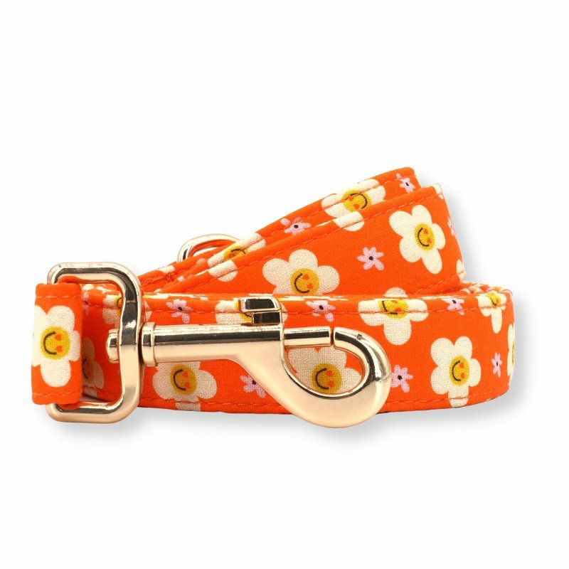 Leash | Dogs Tangerine Dreams Unbreakable Leash™